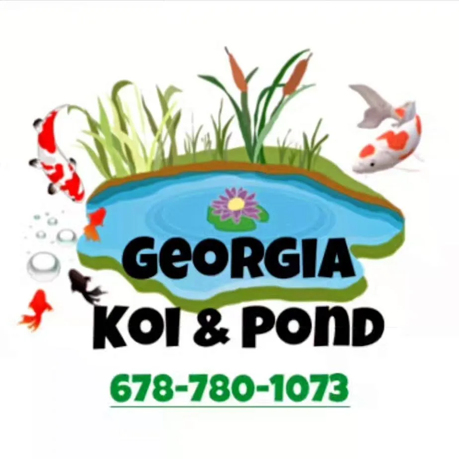Local yard cleanup service in Cumming, GA - Georgia Koi & Pond