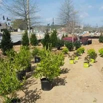 Professional lawn mowing service in Tucker, GA by Georgia Landscape And Tree Service