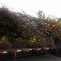 Custom garden landscaping experts serving Tucker, GA - Georgia Landscape And Tree Service