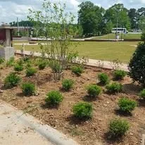 Local yard cleanup service for outdoor upgrades across Tucker, GA - Georgia Landscape And Tree Service