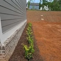 Expert yard cleanup service for beautiful yards in Tucker, GA by Georgia Landscape And Tree Service