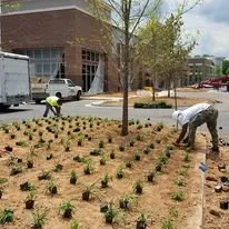 Top-rated landscaping services experts serving Tucker, GA - Georgia Landscape And Tree Service