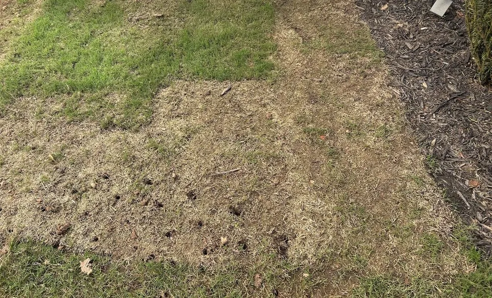 Local landscape installation experts serving Marietta, GA - Georgia Landscaping and Hardscaping