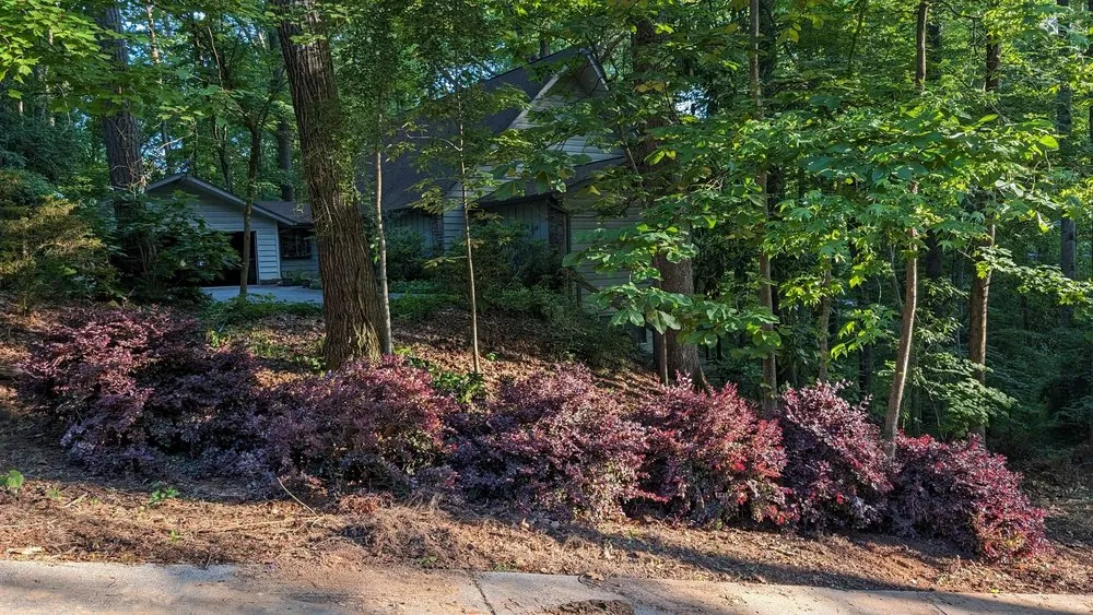 Local lawn mowing service experts serving Marietta, GA - Georgia Landscaping and Hardscaping