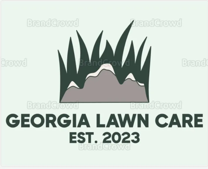 Professional lawn care service in Holly Springs, GA - Georgia Lawn Care