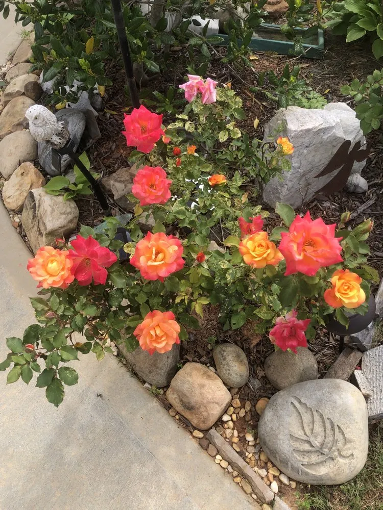 Top-rated lawn mowing service in Smyrna, GA - Georgia Lawn Care