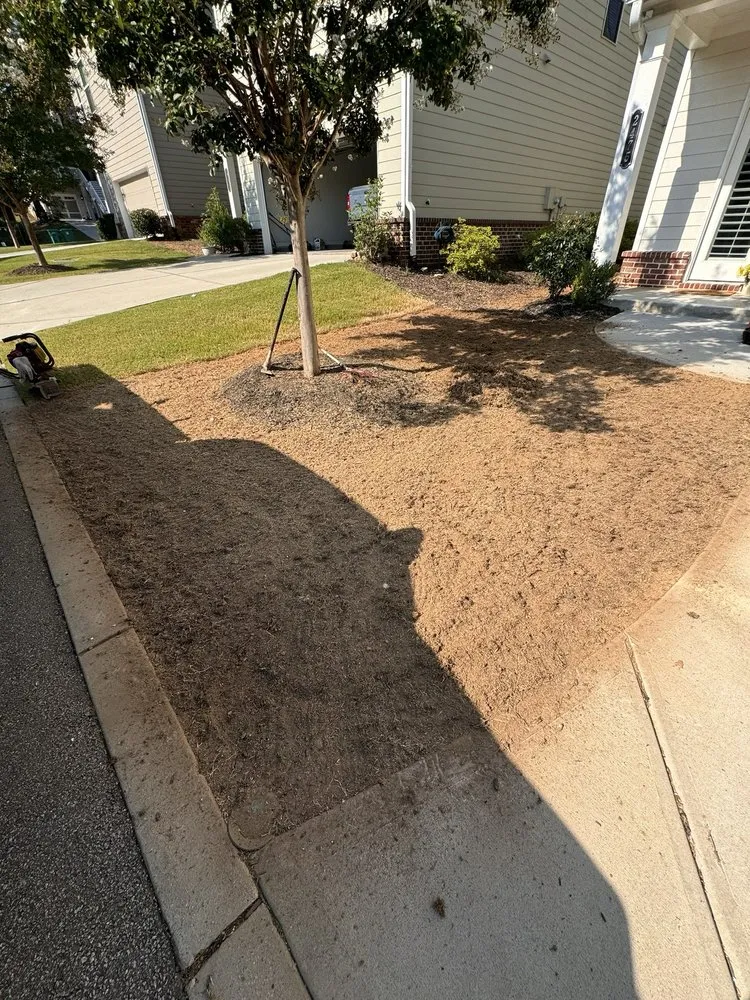 Local yard maintenance for residential properties across Smyrna, GA - Georgia Lawn Care