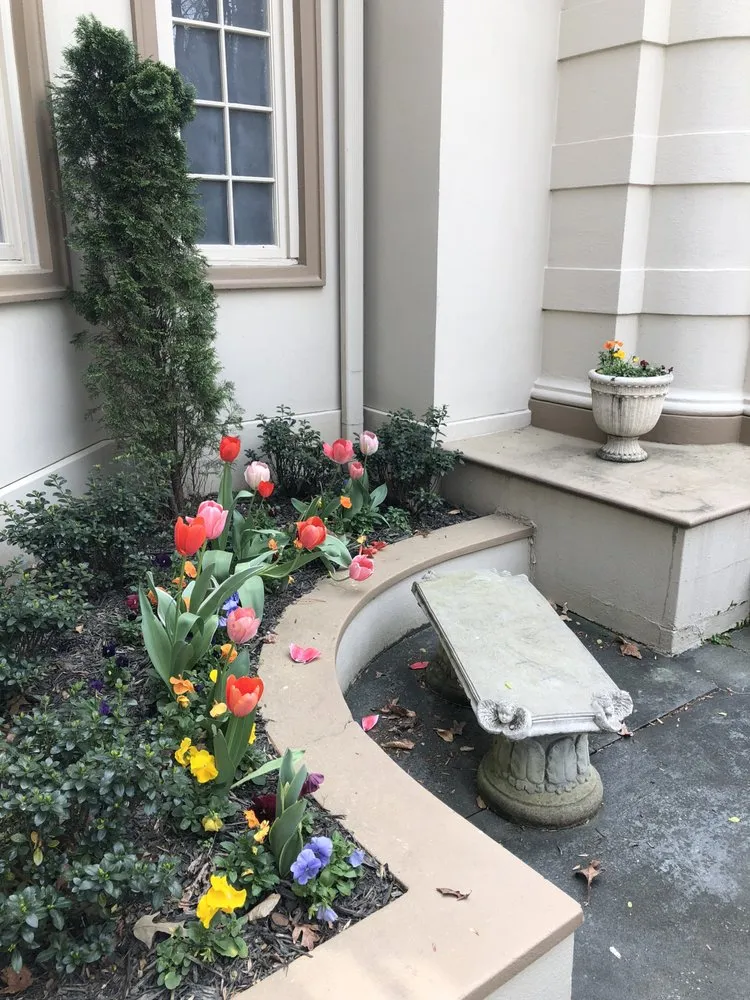 Affordable yard cleanup service for residential properties in Smyrna, GA by Georgia Lawn Care