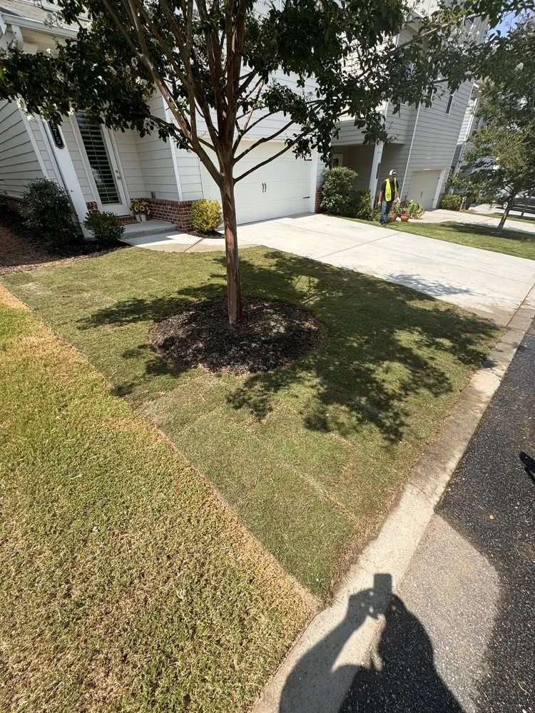 Expert residential landscaping with custom design across Smyrna, GA - Georgia Lawn Care