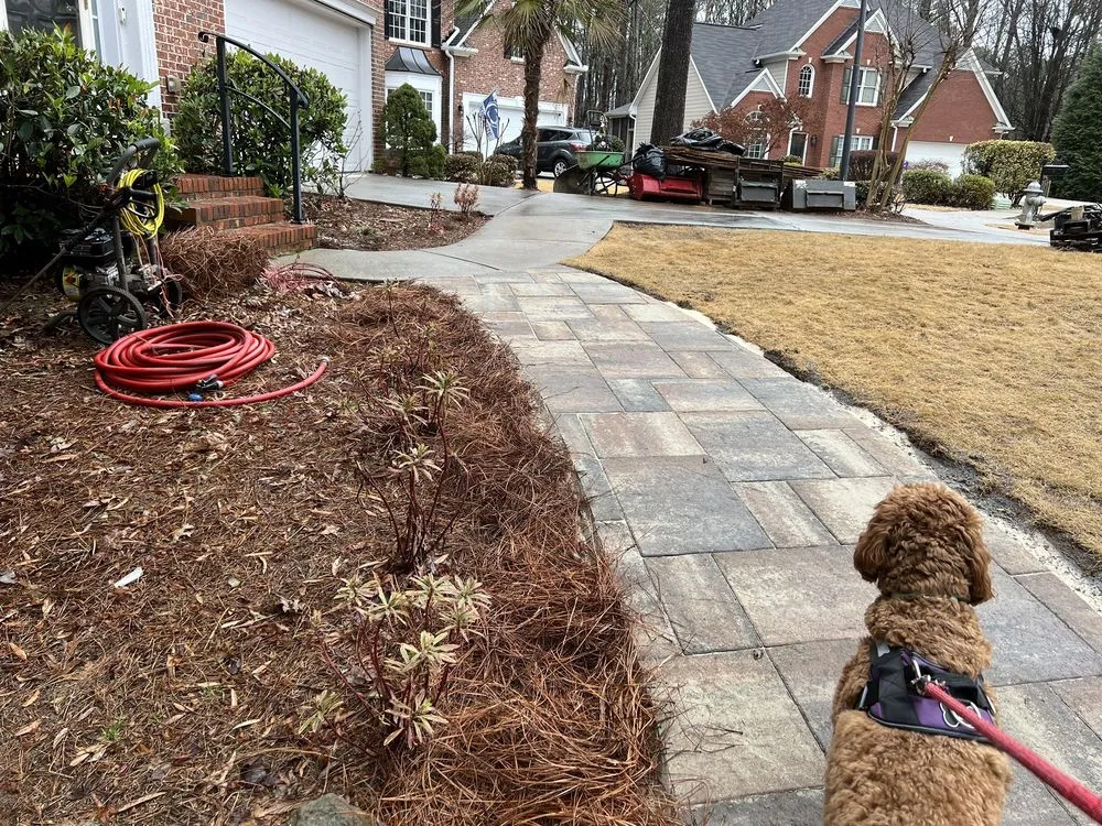Local lawn care service in Suwanee, GA by Georgia Outdoor Services