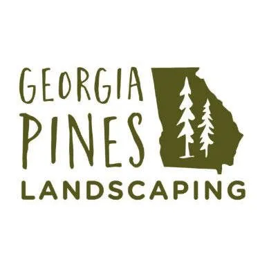 Custom lawn care service for outdoor upgrades in Douglasville, GA by Georgia Pines Landscaping