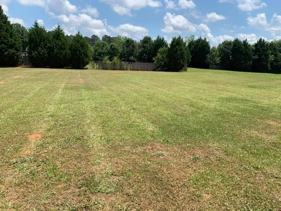 Reliable residential landscaping experts serving Covington, GA - Georgia Precision Landscaping