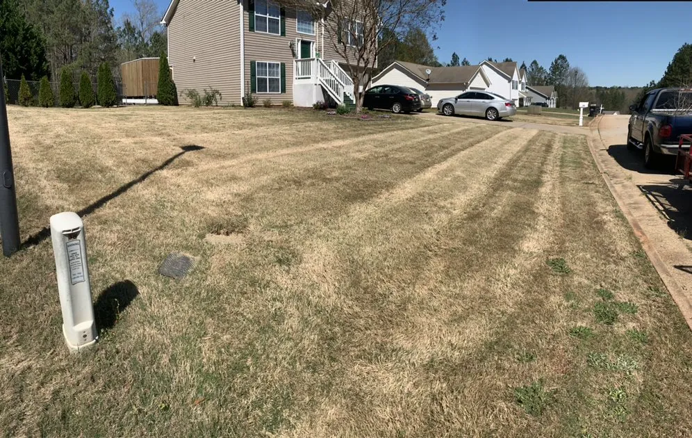 Professional yard maintenance near you across Covington, GA - Georgia Precision Landscaping