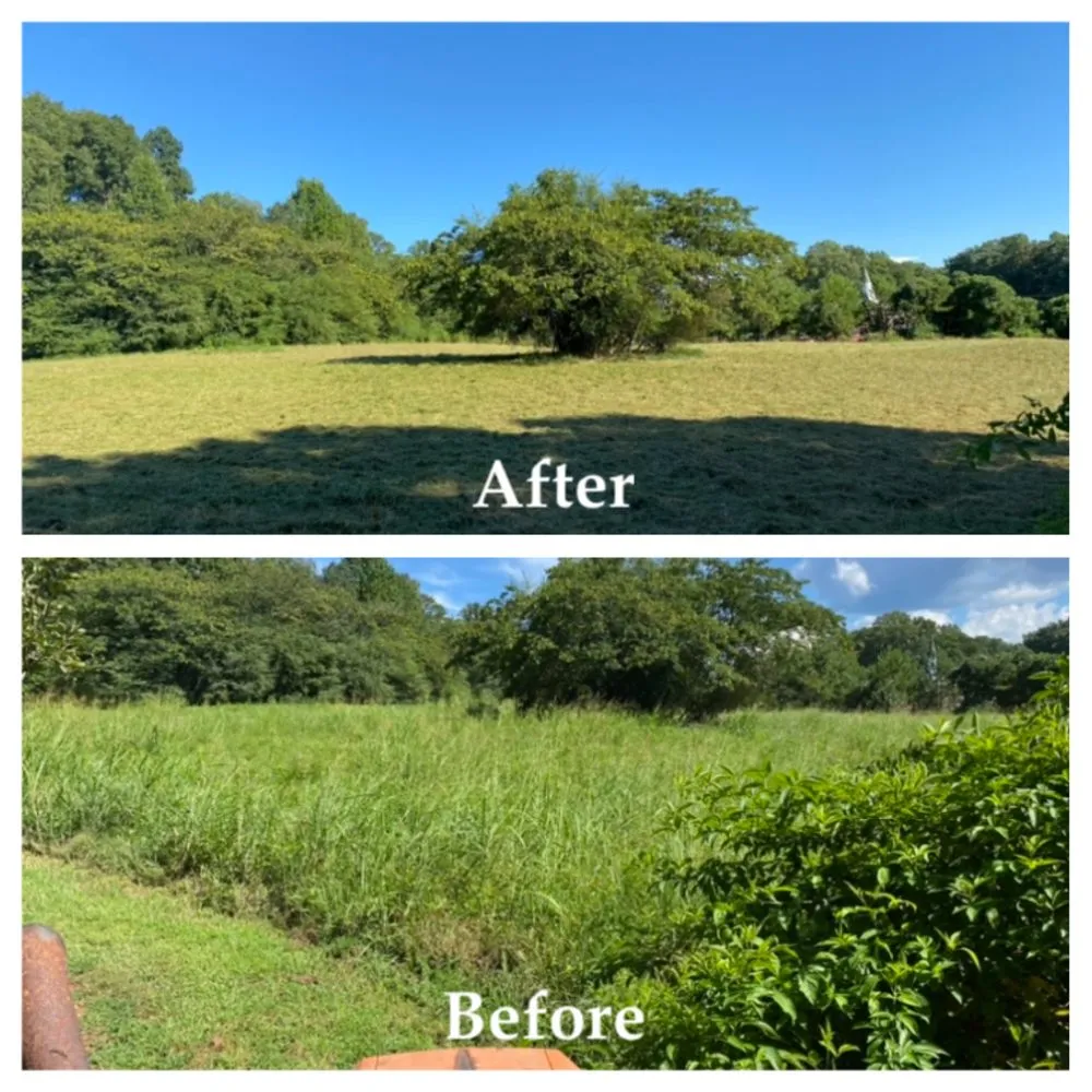 Trusted landscaping services in Dawsonville, GA by Georgia Pro Scapes