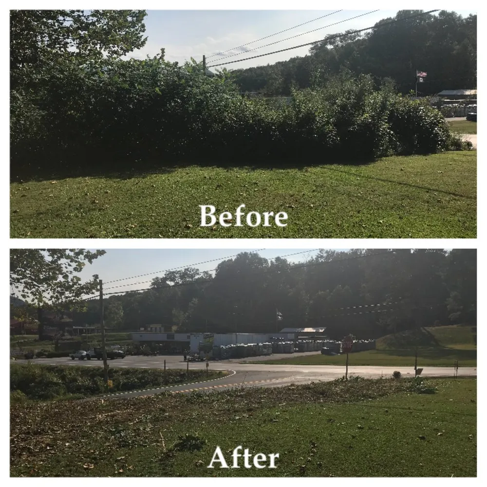 Affordable yard cleanup service for year-round maintenance across Dawsonville, GA - Georgia Pro Scapes