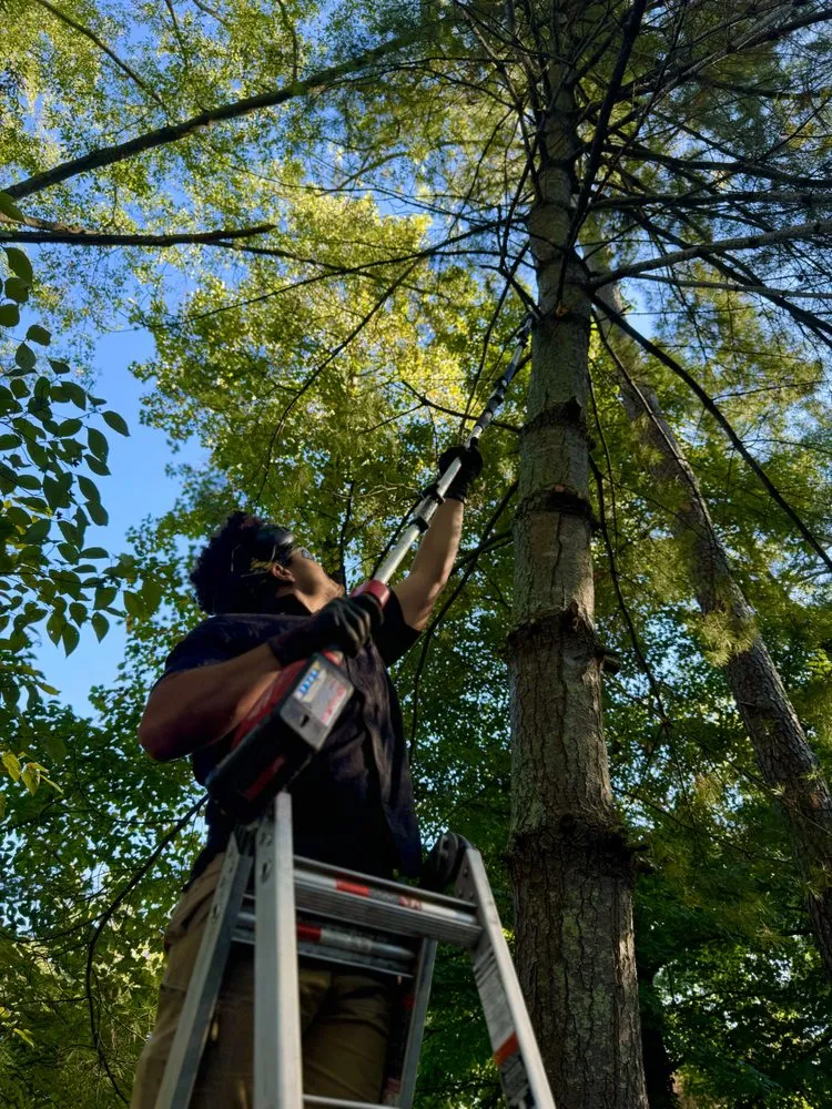 Affordable landscaping services with custom design across Kennesaw, GA - Georgia Property Kings - Lawn Care & Landscaping