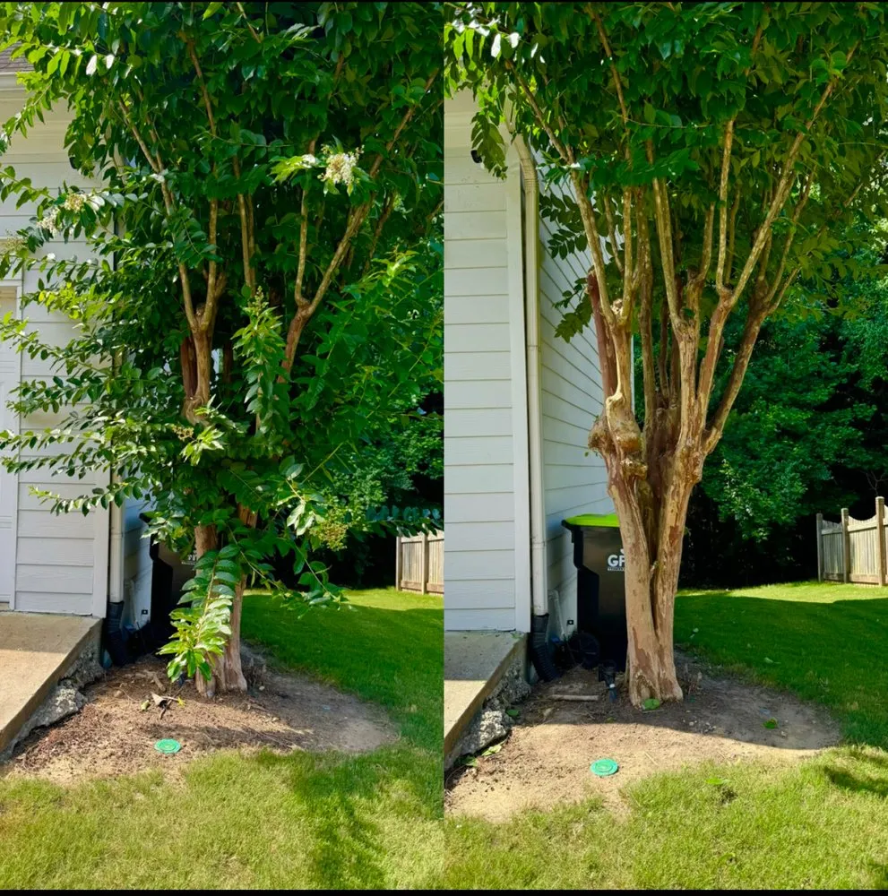 Local garden landscaping for homes in Kennesaw, GA by Georgia Property Kings - Lawn Care & Landscaping