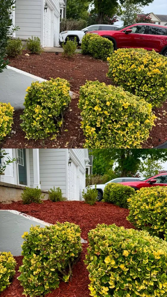Top-rated outdoor landscaping experts serving Kennesaw, GA - Georgia Property Kings - Lawn Care & Landscaping