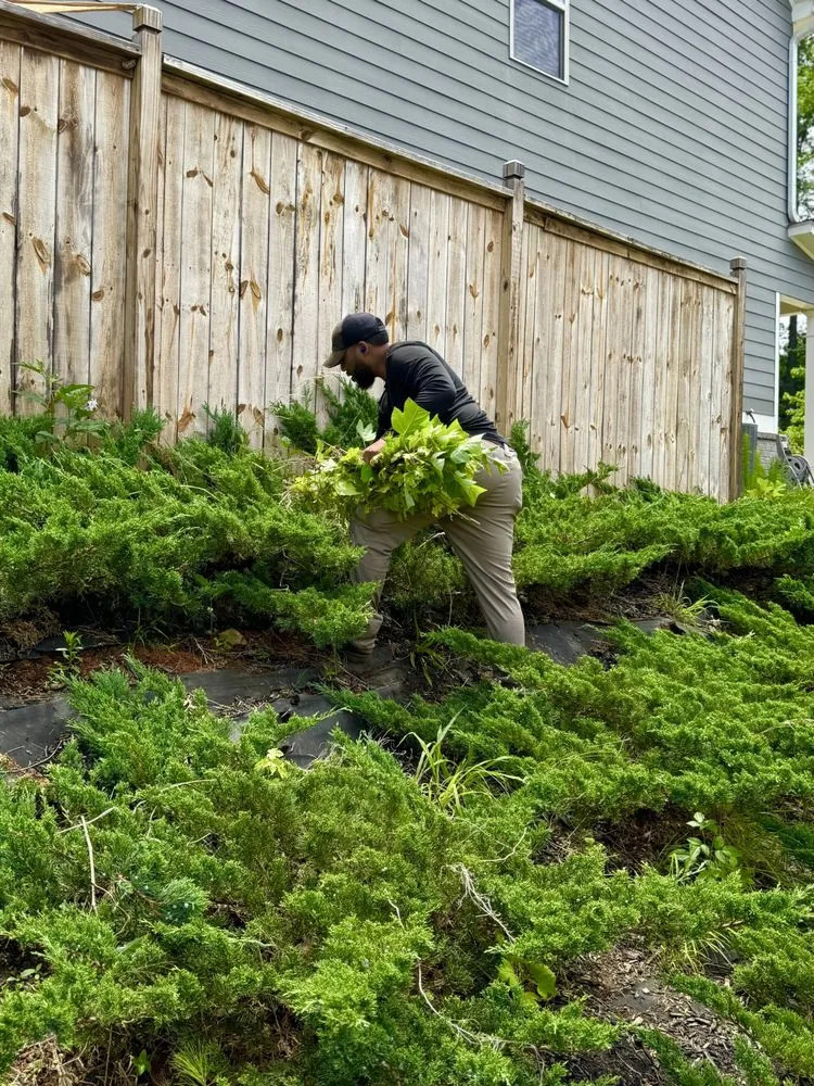 Local lawn mowing service experts serving Kennesaw, GA - Georgia Property Kings - Lawn Care & Landscaping