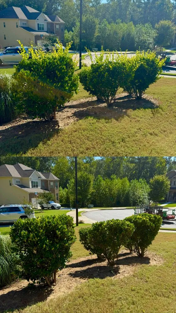 Professional outdoor landscaping experts serving Kennesaw, GA - Georgia Property Kings - Lawn Care & Landscaping