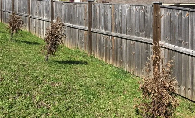 Top-rated landscaping services in Elko, GA - Georgia Roots Outdoor Living