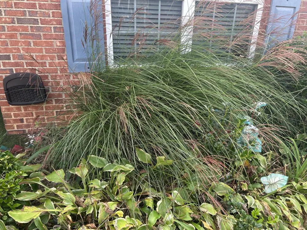 Reliable landscape installation for outdoor upgrades in Milner, GA by Georgia Superior Lawns