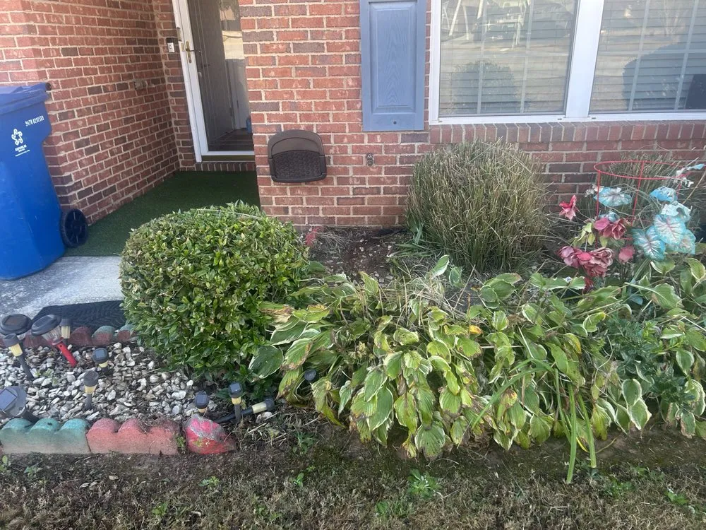 Trusted landscaping services experts serving Milner, GA - Georgia Superior Lawns