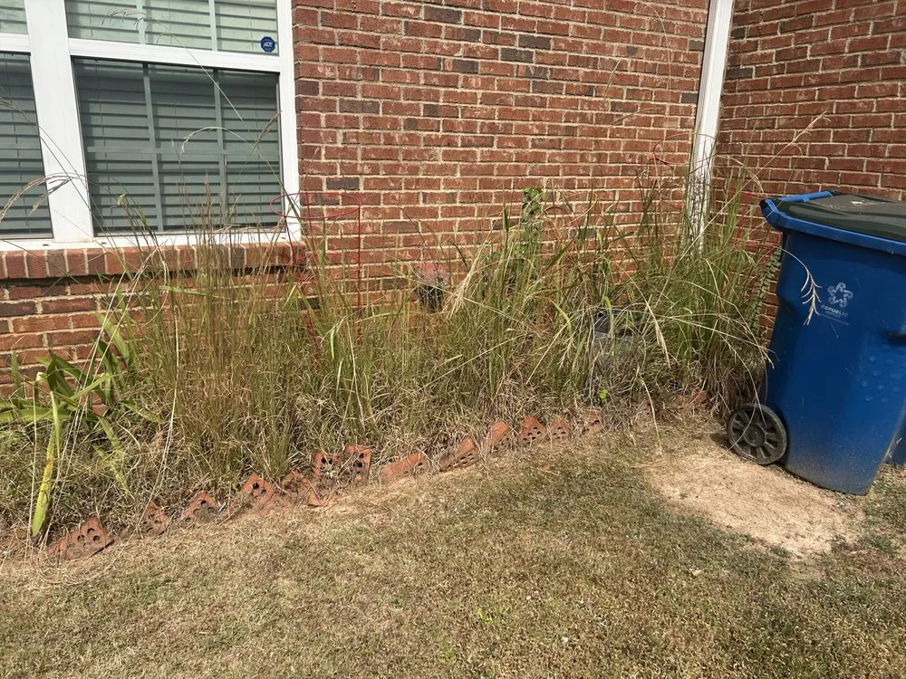 Expert lawn care service with custom design across Milner, GA - Georgia Superior Lawns