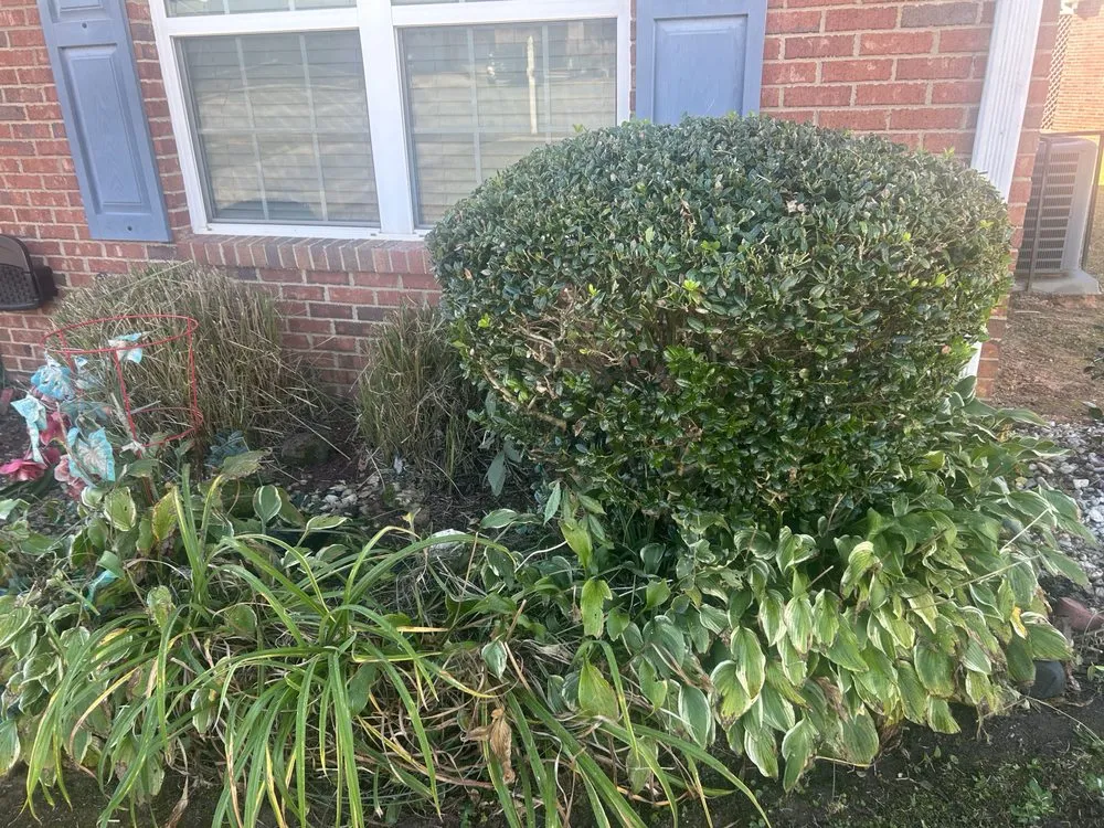 Top-rated landscaping services experts serving Milner, GA - Georgia Superior Lawns