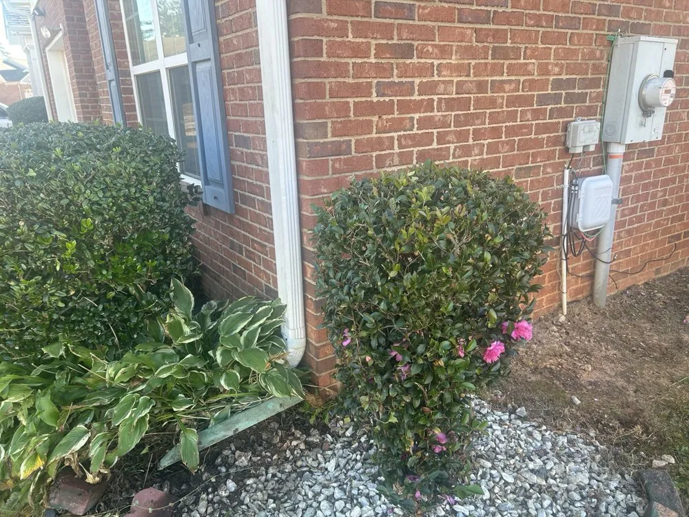Trusted landscaping services in Milner, GA by Georgia Superior Lawns