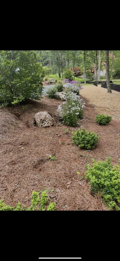 Reliable yard maintenance near you across Athens, GA - Georgia Top Landscaping