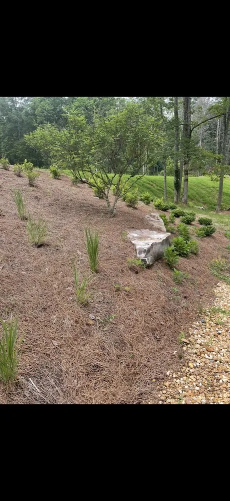Affordable outdoor landscaping for outdoor upgrades across Athens, GA - Georgia Top Landscaping
