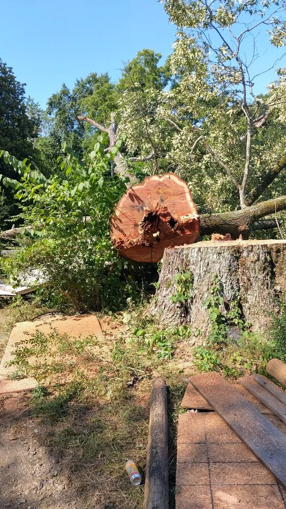 Affordable landscaping services in Lithia Springs, GA - Georgia Tree & Landscaping