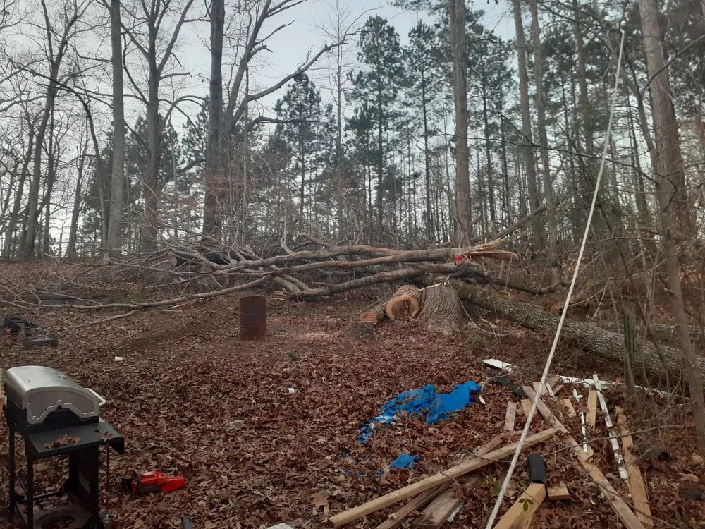 Trusted landscape design for residential properties across Lithia Springs, GA - Georgia Tree & Landscaping