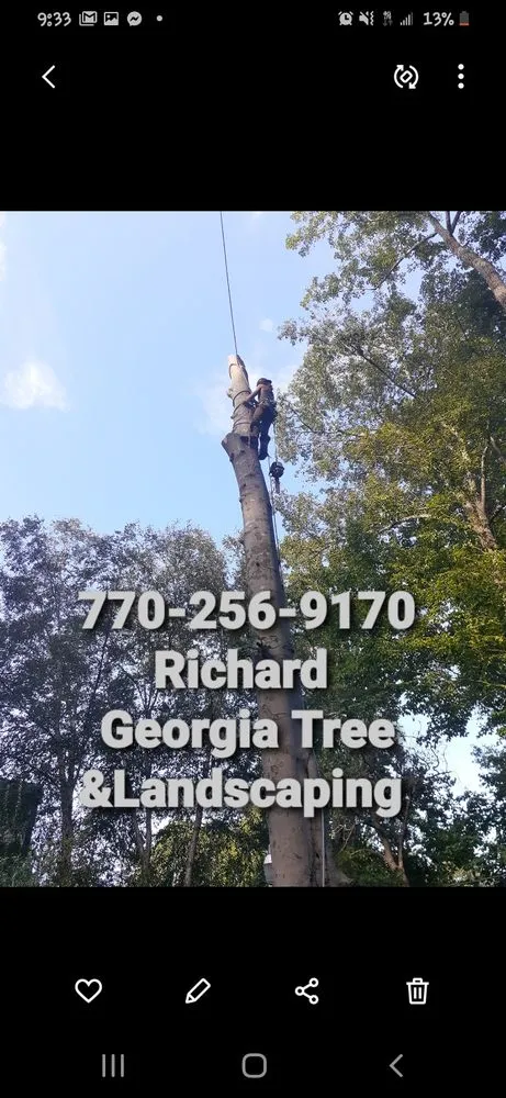 Trusted lawn mowing service experts serving Lithia Springs, GA - Georgia Tree & Landscaping
