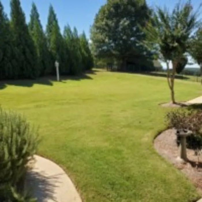 Top-rated lawn mowing service experts serving Jefferson, GA - Georgia Turf & Ornamental