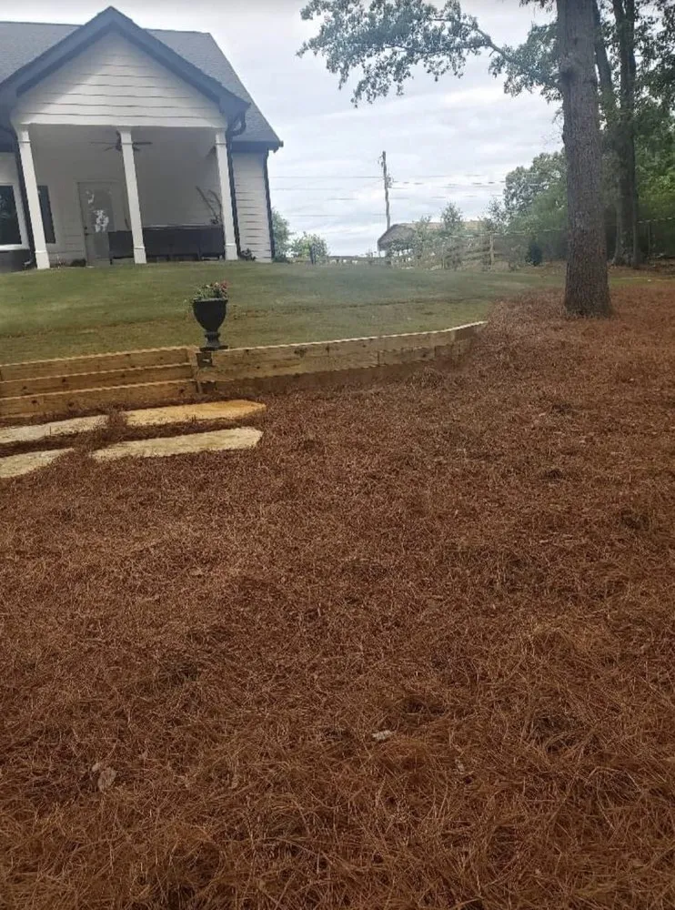 Affordable lawn care service for outdoor upgrades across Jefferson, GA - Georgia Turf & Ornamental