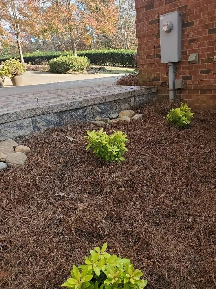 Expert landscaping services in Jefferson, GA - Georgia Turf & Ornamental