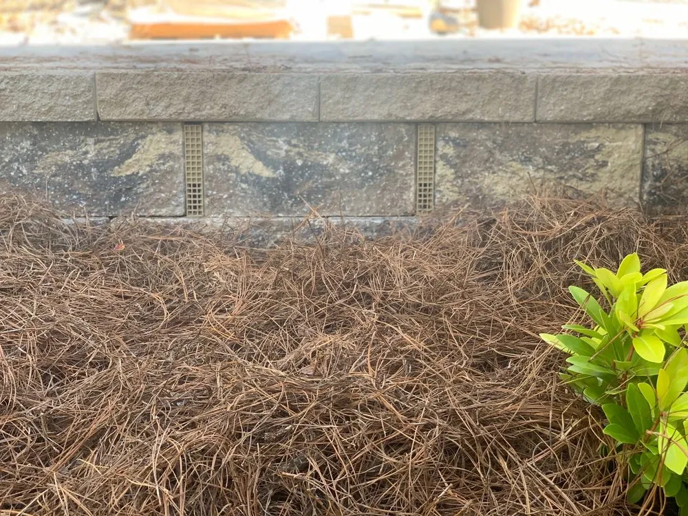 Expert yard cleanup service in Jefferson, GA by Georgia Turf & Ornamental