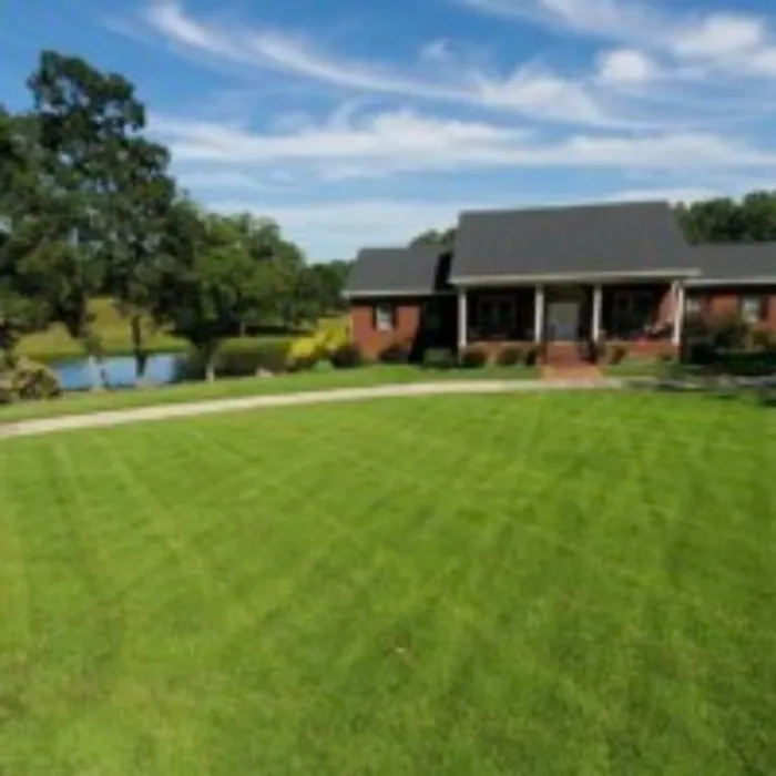 Expert landscaping services in Jefferson, GA by Georgia Turf & Ornamental