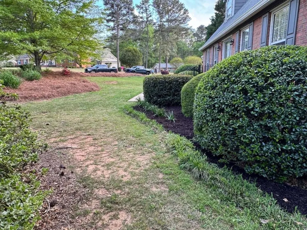 Affordable outdoor landscaping experts serving Athens, GA - Georgia Turf And Mulching