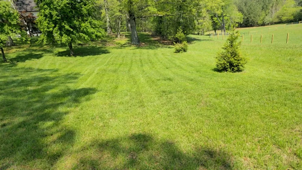 Local landscape installation for homes across Ball Ground, GA - Georgia Turf Creations