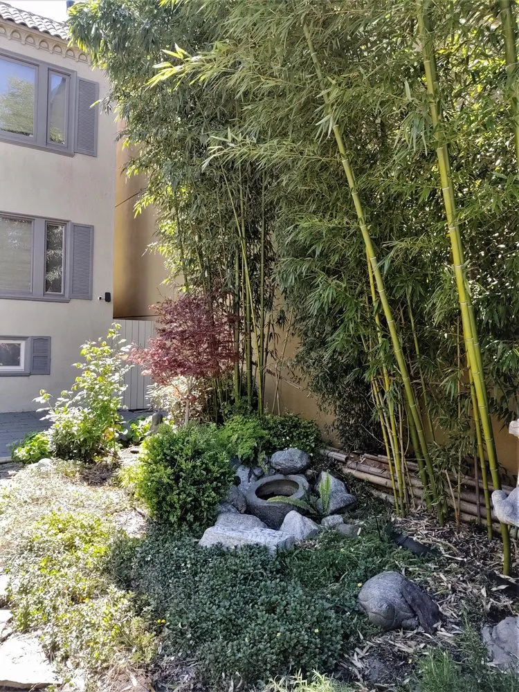 Affordable lawn care service for outdoor upgrades in Marietta, GA by Georgia Urban Landscapes