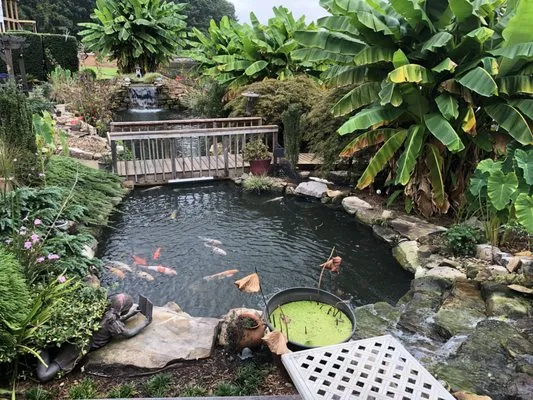 Georgia Waterscapes Logo