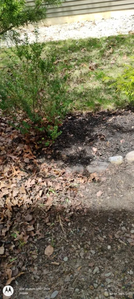 Expert residential landscaping in Waterford Works, NJ by Georgianna's Gardening