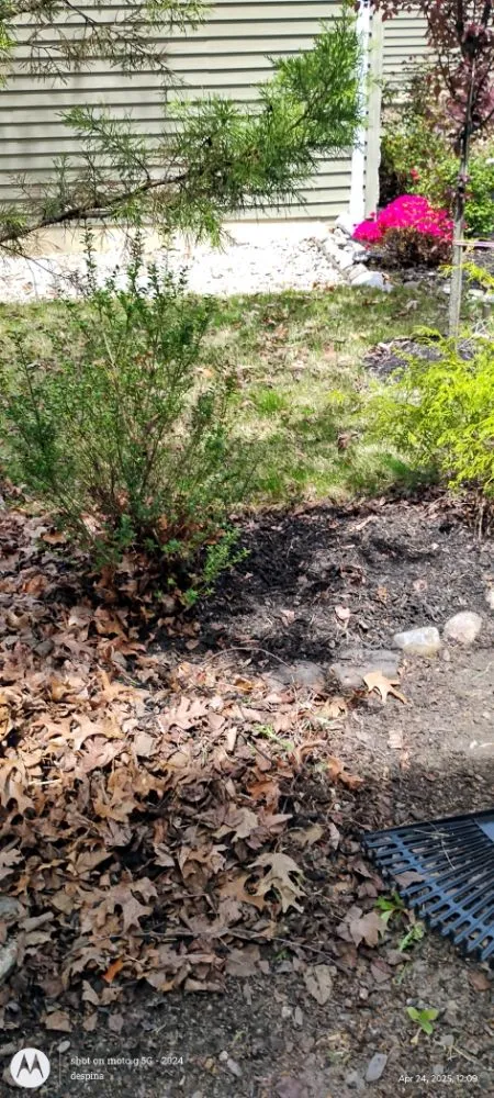 Professional outdoor landscaping experts serving Waterford Works, NJ - Georgianna's Gardening