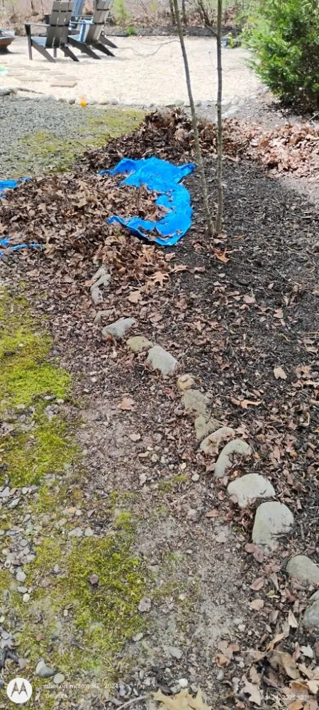 Affordable landscape installation in Waterford Works, NJ - Georgianna's Gardening