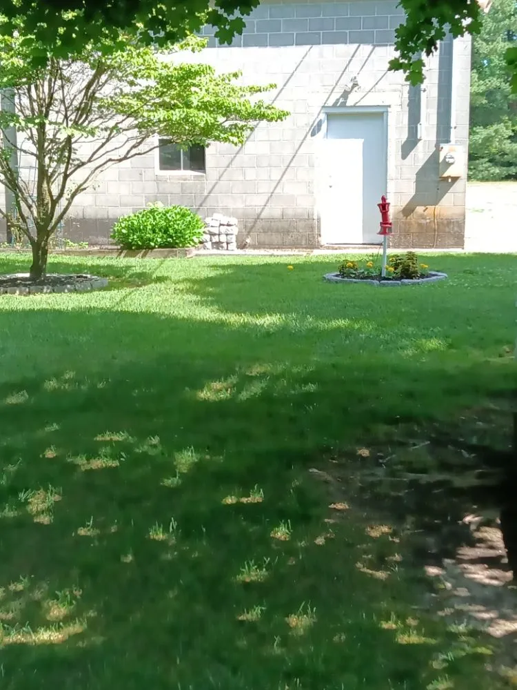 Expert yard cleanup service for beautiful yards in Waterford Works, NJ by Georgianna's Gardening