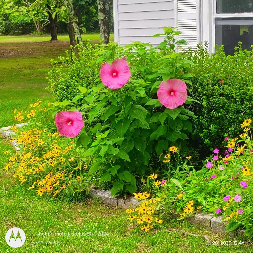Expert outdoor landscaping experts serving Waterford Works, NJ - Georgianna's Gardening