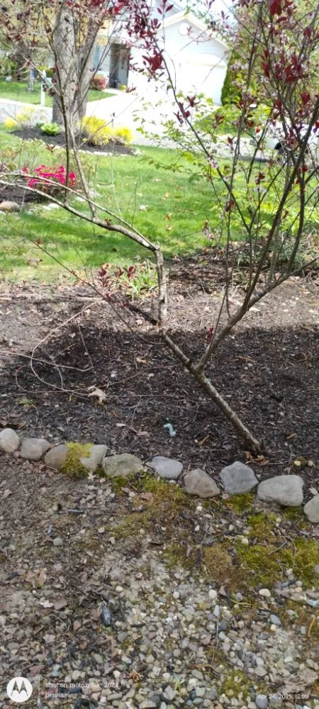 Affordable landscape design in Waterford Works, NJ - Georgianna's Gardening